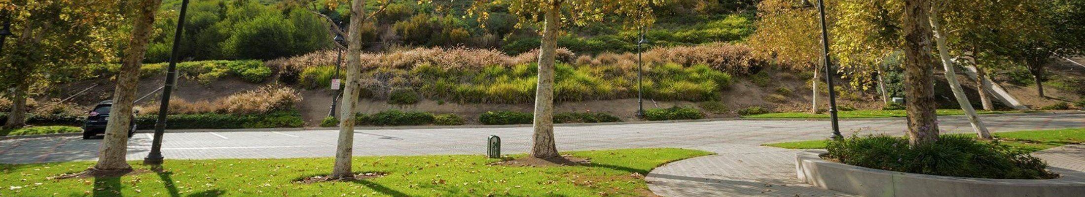 City of Aliso Viejo